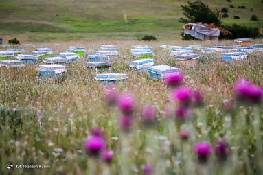 زندگی در خنکای کوهستان