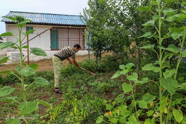 زندگی در خنکای کوهستان