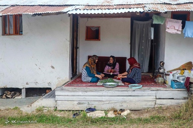 زندگی در خنکای کوهستان