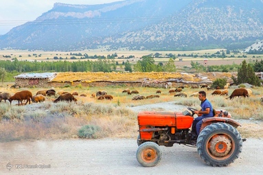 زندگی در خنکای کوهستان