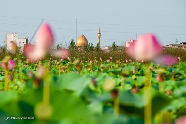 «آب بندان» رودبست - مازندران