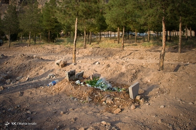 جدال قبر و طبیعت در کرمان
