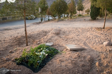 بوستان یا گلستان - تبدیل بوستان های کرمان به گورستان کرونایی ها