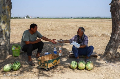 پخت و توزیع ۳ هزار پرس غذا توسط خادمین موکب علی بن موسی الرضا (ع) گلستان در عاشورای حسینی - گرگان
