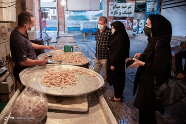 بازار میگو بوشهر