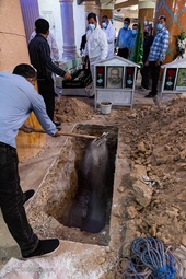 تشییع شهید مدافع سلامت «جهانبخش فخری» - بوشهر