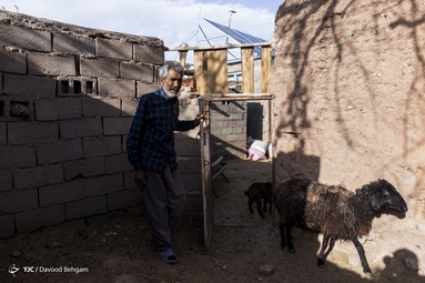 چاه نسر ، روستای پاک