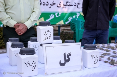 مرحله سیزدهم طرح ظفر