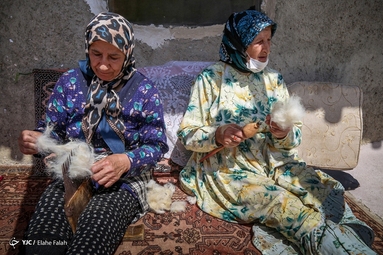 پشم‌چینی گوسفندان - رودبار