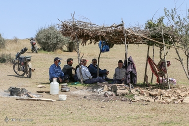 پشم‌چینی گوسفندان - رودبار