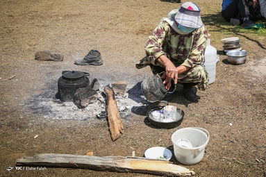 پشم‌چینی گوسفندان - رودبار