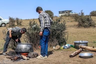 پشم‌چینی گوسفندان - رودبار