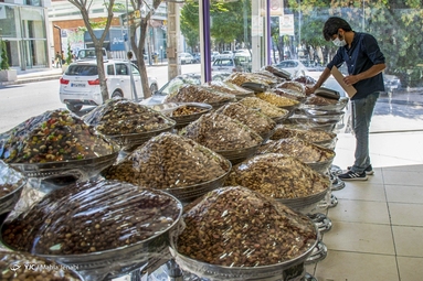 برداشت پسته - کرمان
