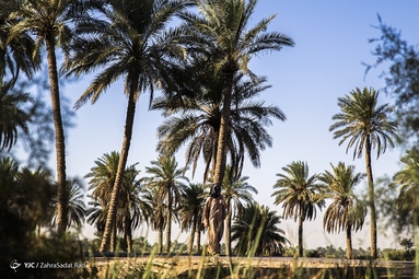 این عشق مرز نمی شناسد