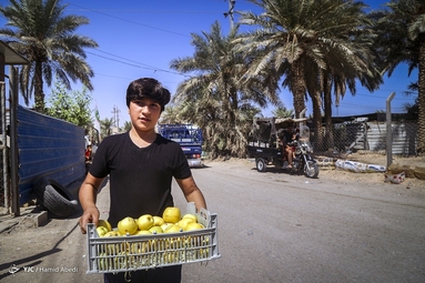 حضور کودکان در پیاده روی اربعین حسینی