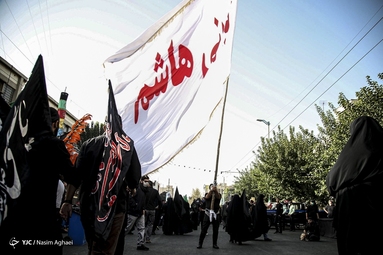 جاماندگان اربعین حسینی - تهران