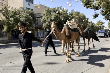 راهپیمایی جاماندگان اربعین - کرمان