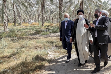 سفر رئیس جمهور به استان بوشهر