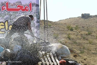 امحای ۵ تن مواد مخدر و روان‌گردان - کرج