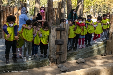 باغ وحش ارم تهران  به عنوان جایگزینی برای باغ‌وحش قدیمی تهران در سال ۱۳۷۱ برای بازدید عموم افتتاح گردید