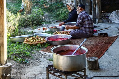 برداشت انار وحشی و تهیه رب انار به عنوان پر طرفدارترین چاشنی غذایی - انارستان‌های جنگلی گلستان