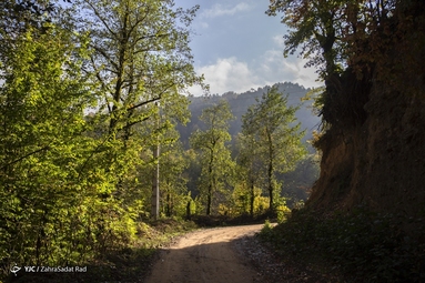 روستای شاه می‌لرزان - گیلان
