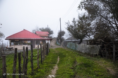 روستای شاه می‌لرزان - گیلان