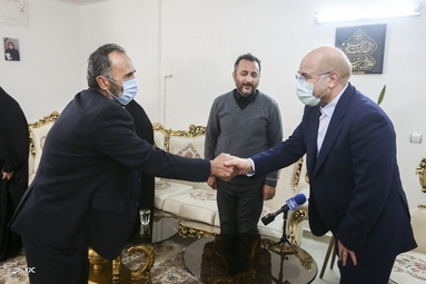 دیدار رئیس مجلس با خانواده شهید جمال محمدشاهی