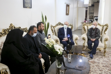 دیدار رئیس مجلس با خانواده شهید جمال محمدشاهی