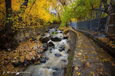 طبیعت پاییزی گنجنامه همدان