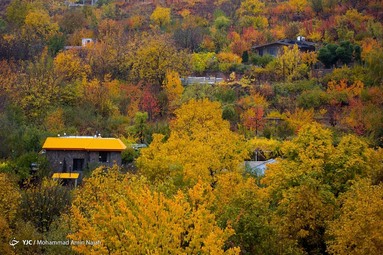 طبیعت پاییزی گنجنامه همدان