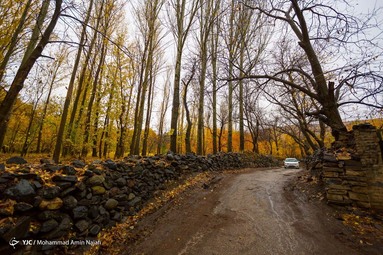 طبیعت پاییزی گنجنامه همدان
