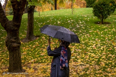 باران پاییزی پایتخت