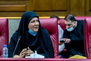 نشست خبری سخنگوی قوه قضاییه
