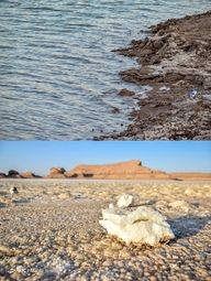 مرگ دریاچه جوان کلوت