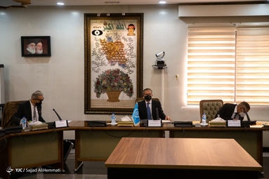 دیدار رافائل گروسی با محمد اسلامی