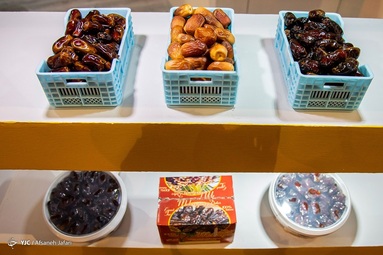 نمایشگاه بین‌المللی خرما، تولید، فرآوری و صنایع وابسته - بوشهر