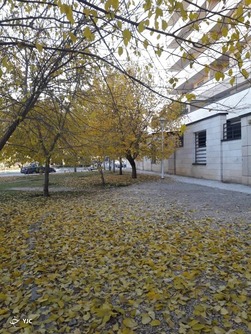 جاذبه های گردشگری