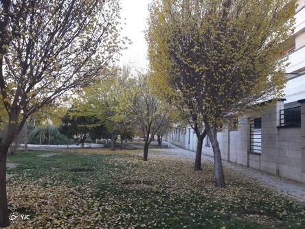 پاییز