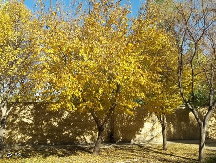 مناظر