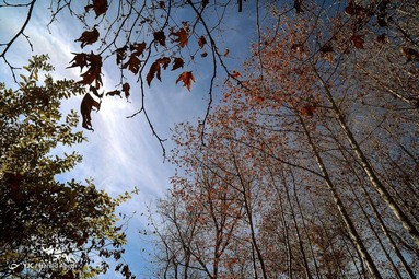 طبیعت زیبای پاییزی قاهان - قم