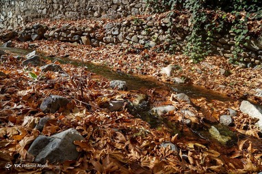 طبیعت زیبای پاییزی قاهان - قم