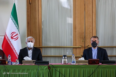 نشست دبیران کارگروه‌های تخصصی شورای عالی امور ایرانیان خارج از کشور با حضور وزیر امور خارجه