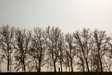 سریال پرتکرار آلودگی هوای تهران