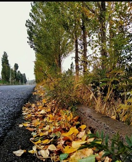 طبیعت گردی در استان کردستان
