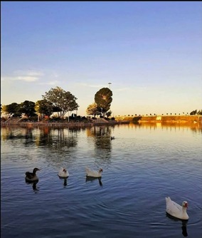 طبیعت گردی در استان کردستان