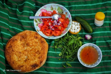 برداشت پرتقال - گلستان
