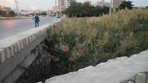 لایروبی نشدن خور نایبند