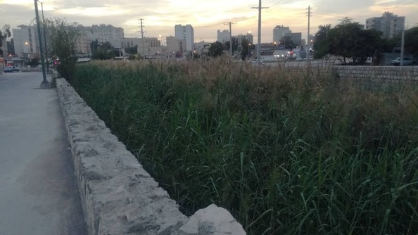 لایروبی نشدن خور نایبند