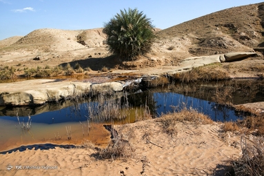 آلودگی در خط انتقال پساب چاه نفت ۳۶۵ مارون
